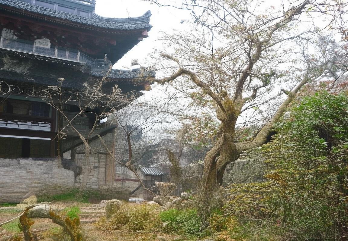 守望先锋世界杯新推国家/地区排名系统，动态评估电竞竞技水平，提升赛事观赏性与公平竞争生态